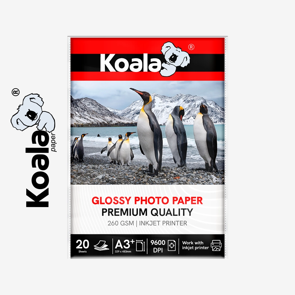 Papel Fotográfico Brillante Premium 260 GSM A3+ - 20 Hojas